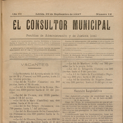 Consultor municipal
